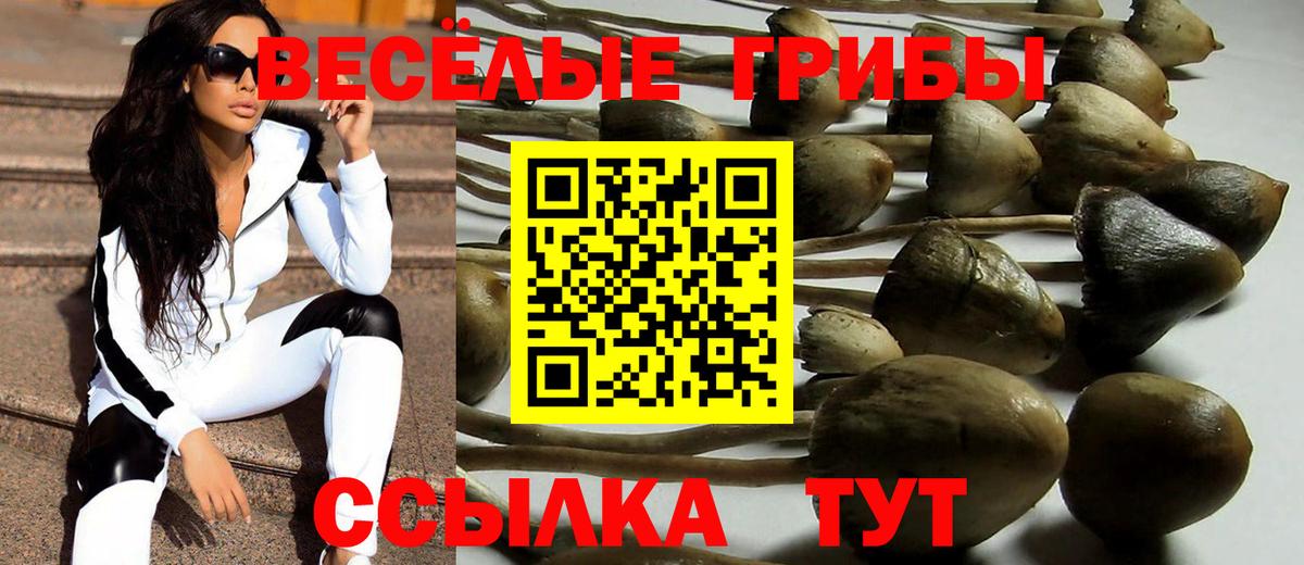 Галлюциногенные грибы ЛСД Лесозаводск