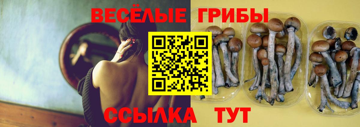Лесозаводск  Галлюциногенные грибы мухоморы  Вход с VPN 